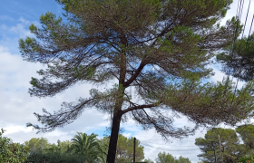  Sainte-Maxime