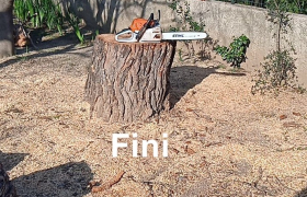 Élagage démontage au muy