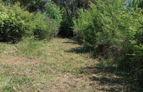 Débroussaillage forestier